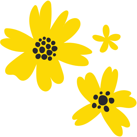 아구아헤 노란미나리